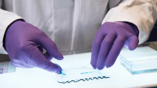 Scientist analyzes results of a genetic test